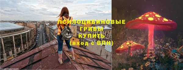 mdpv Осташков
