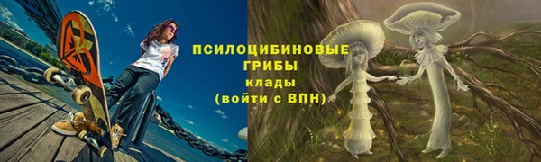 а пвп мука Осинники